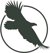 skoropad.direct.quickconnect.to